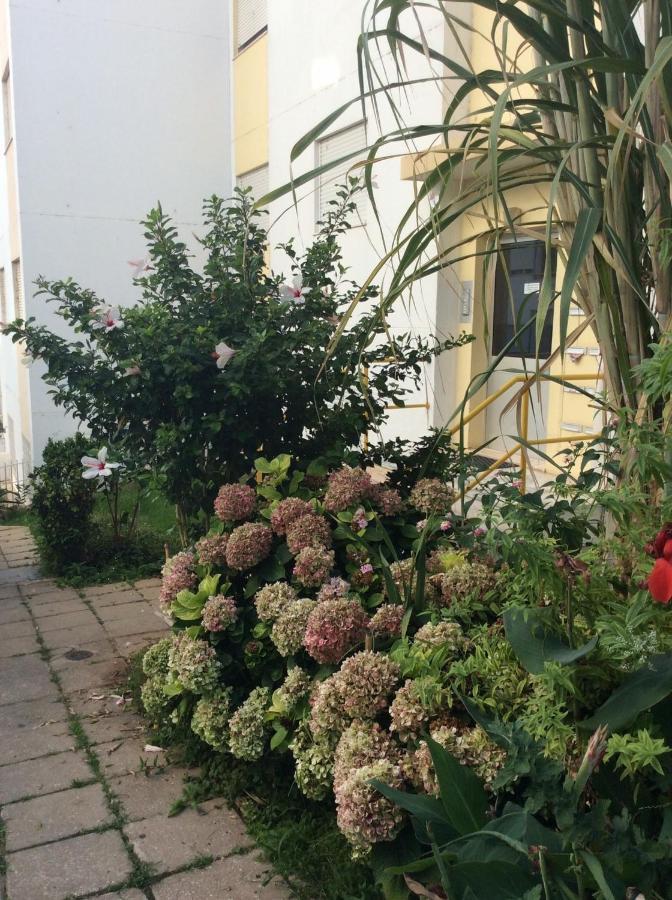 Jardim Das Flores Dystrykt Dystrykt Faro Zewnętrze zdjęcie